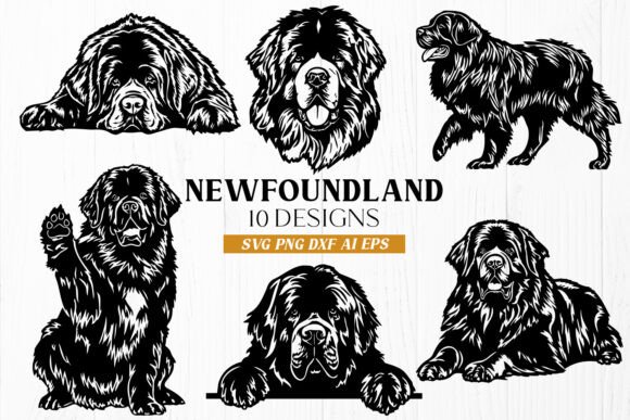 Newfoundland Dog SVG Bundle – Graphics & Crafts